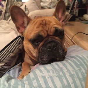 Meet your Posher, Jenn